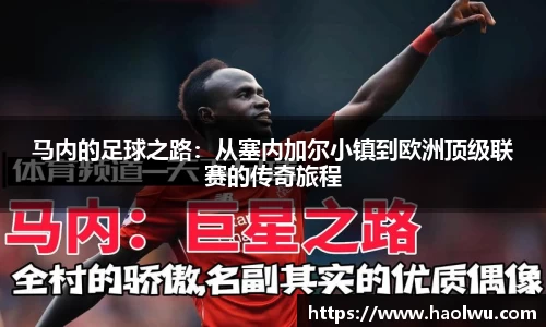 德信体育